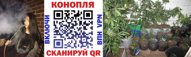 Каннабис SATIVA & INDICA  Купить закладки  Нововоронеж 